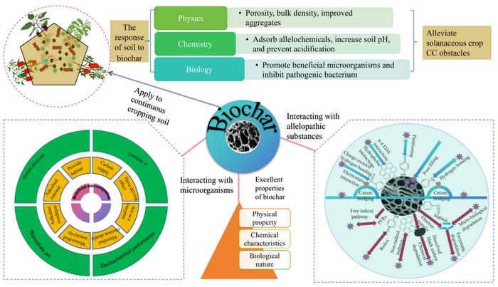 Application of biochar for the prevention and control of soil continuous cropping obstacles in solanaceous vegetables: a review