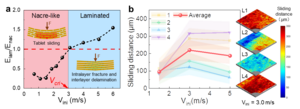Anomalous inapplicability of nacre-like architectures as impact-resistant templates in a wide range of impact velocities
