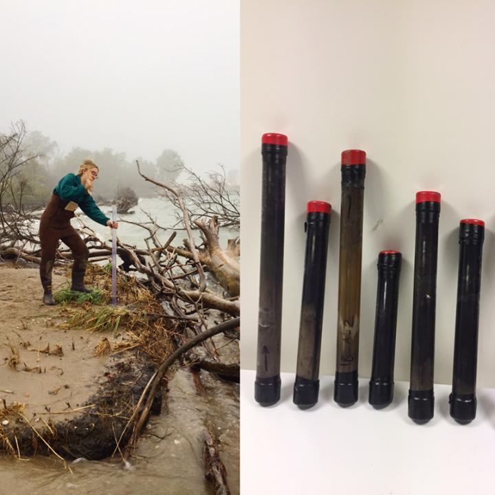 Collecting Cores