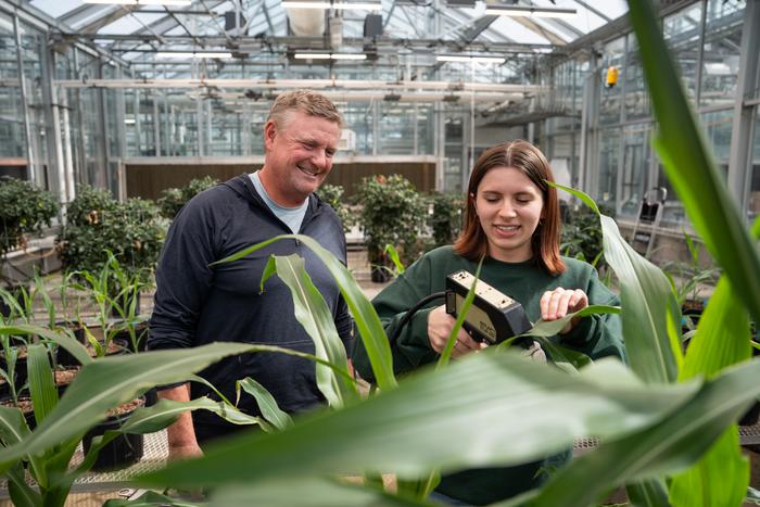 Collecting corn plant data