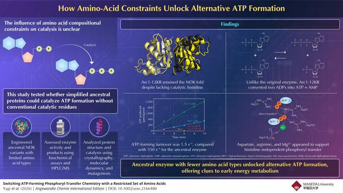 A Histidine-Independent Route to ATP Formation