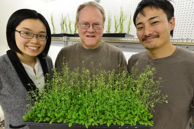 Jeongmin Choi, Gary Stacey and Kiwamu Tanaka, University of Missouri-Columbia