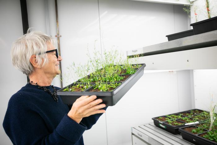 Doris Wagner with plants