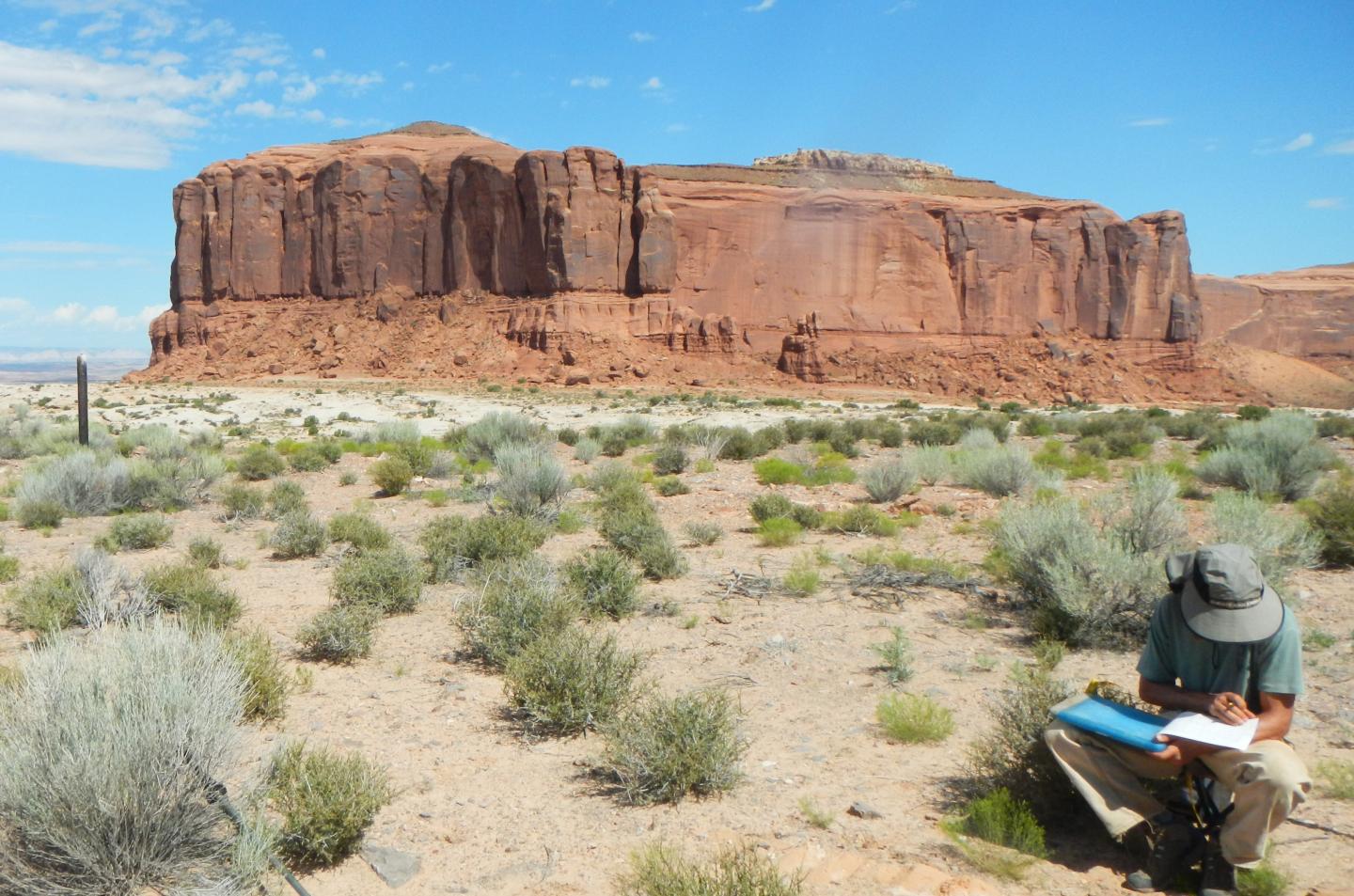 New Scientific Approach Assesses Land Recovery Following Oil and Gas Drilling (3 of 3)
