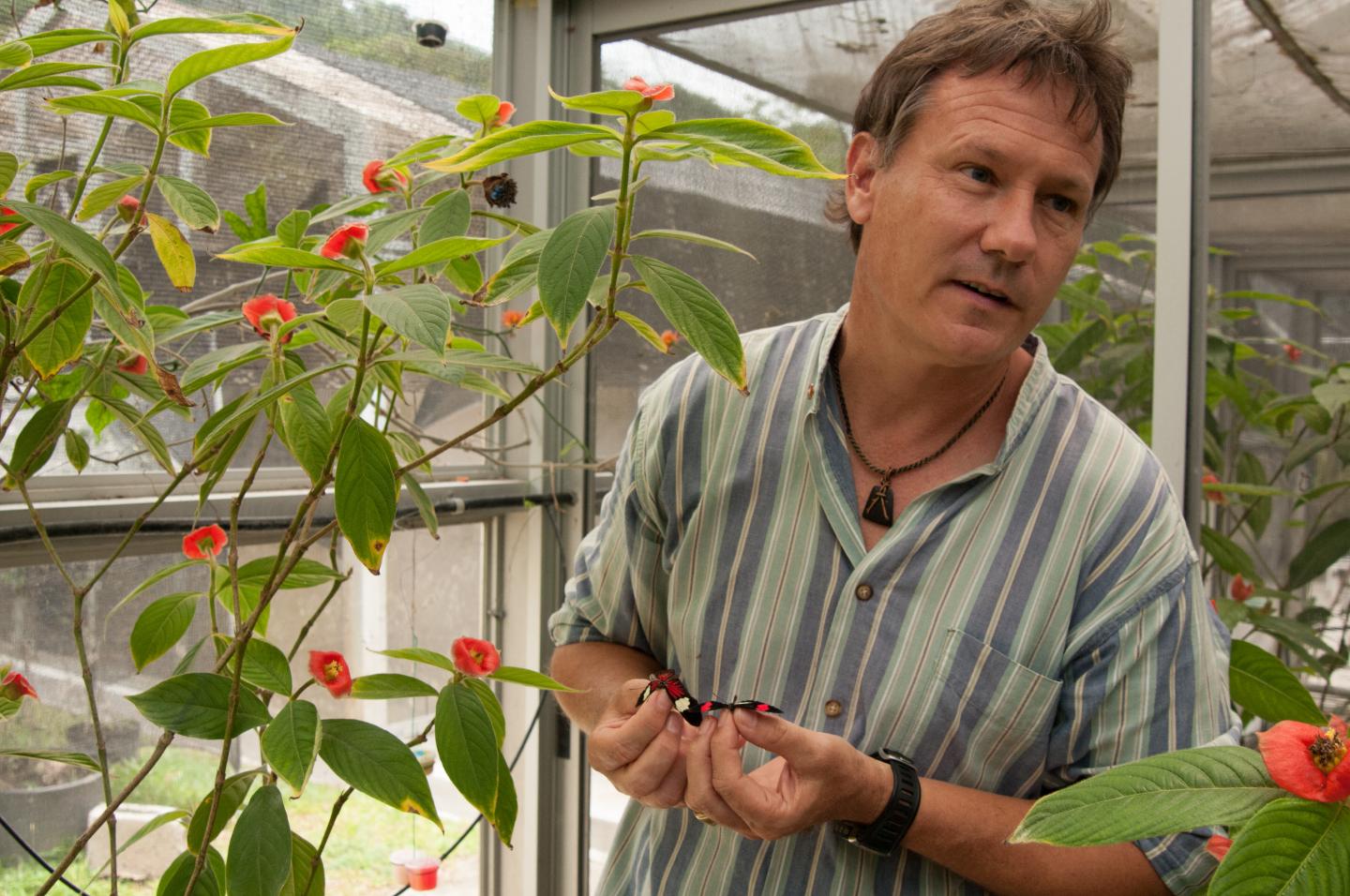 Owen McMillan, Smithsonian Tropical Research Institute 