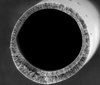 Bijel Filter