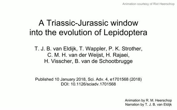 Earliest Fossil Evidence of Butterflies and Moths (2 of 8)