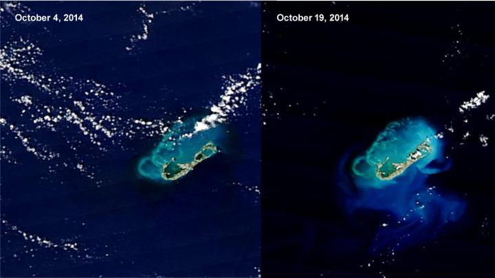 MODIS Image of Bermuda