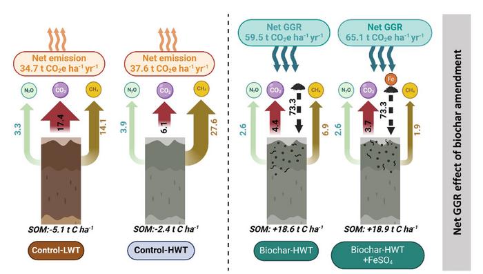 Greenhouse gas removal in agricultural peatland via raised water levels and soil amendment