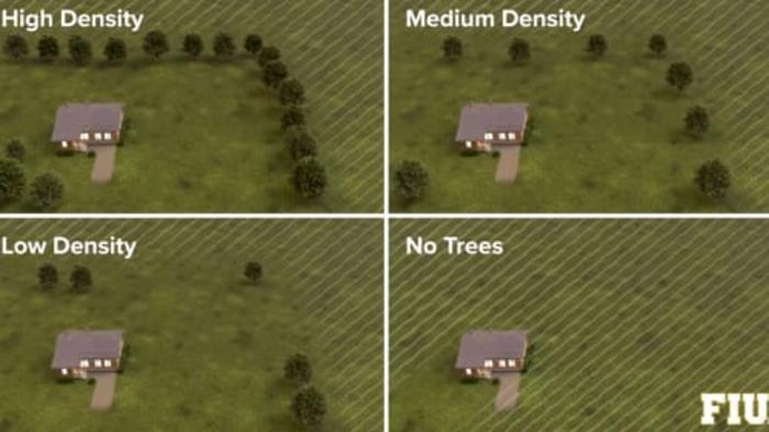 Tree storms