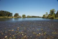Sacramento River
