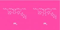 Polymer Chain with and without Fluorine