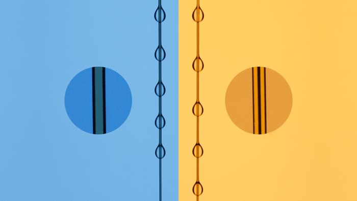 The race of water droplets