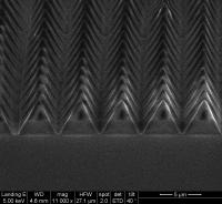 Symmetric Surface