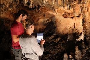Examining a 3D scan of a decorated panel.