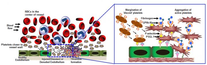 Artificial Platelets at Work