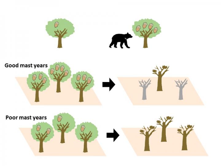 Concept of Pattern