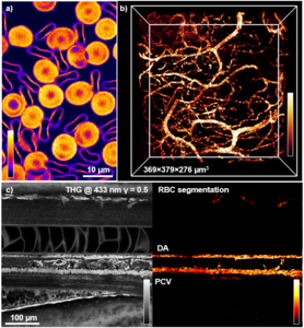 Label-free specific imaging of RBC.