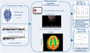 Fig. 1. Schematic diagram of the research process. Thirty-three healthy male participants underwent a 12-h –6° head-down tilt (HDT) bed rest (BR) protocol to simulate microgravity exposure.