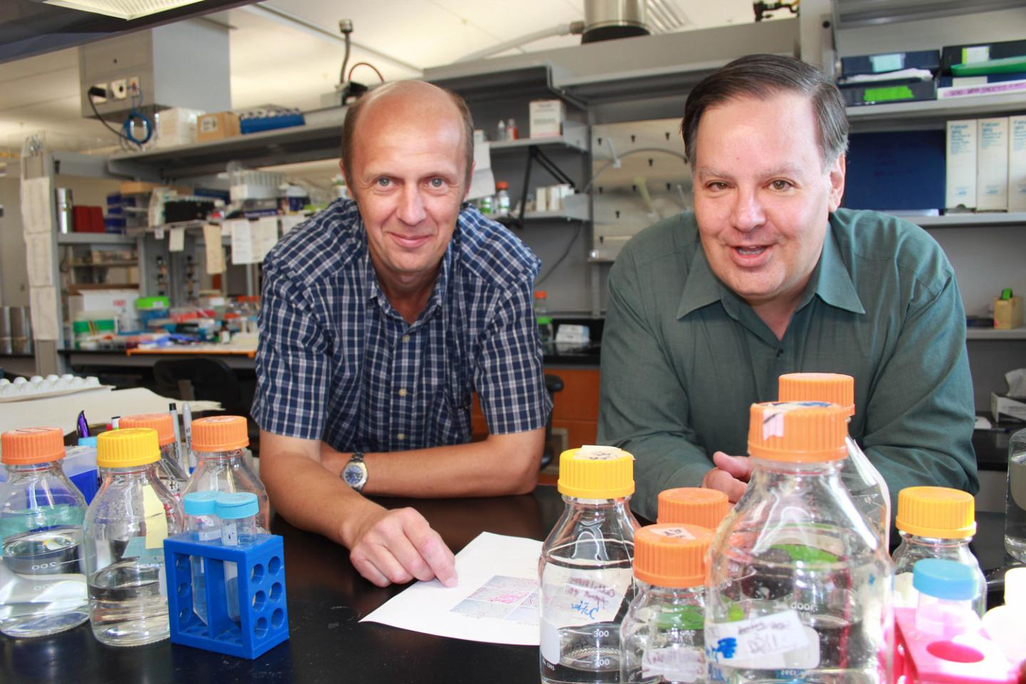 Richard Gomer and Darrell Pilling, Texas A&M University