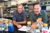 Richard Gomer and Darrell Pilling, Texas A&M University