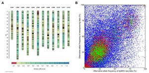 Overview of integrated linkage map and allele frequencies of SNP markers.