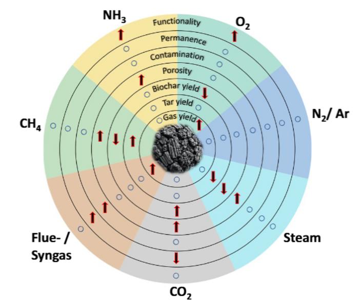 Biochar production under different atmospheres: an overview