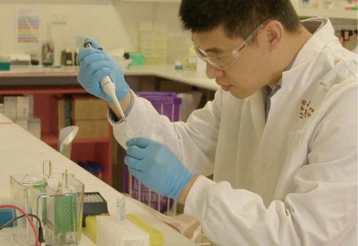 New research clears the way to healing lung diseases