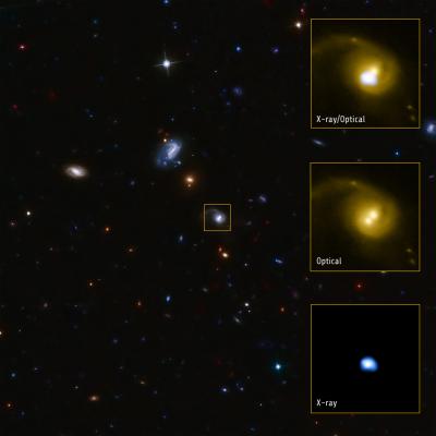 Multi-Panel View of CID-42