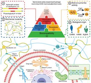 Hybrid Units Based on Natural Polymers