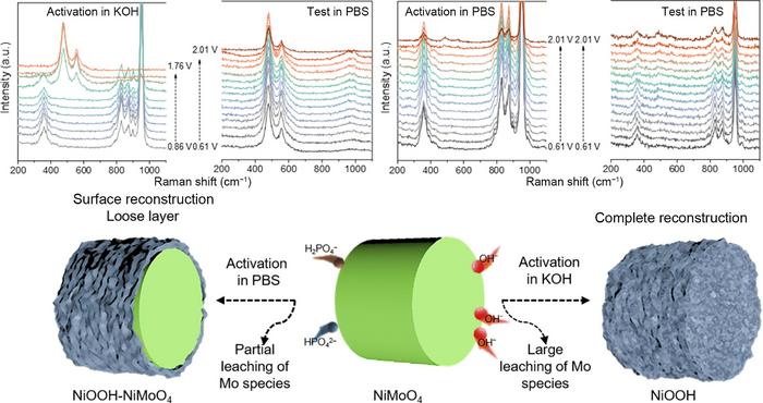 In-situ Raman spectroscopy reveals the reconstructions of NiMoO4 for neutral water oxidation: Insights from activation processes
