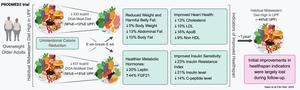 Unintentional calorie reduction when ultra-processed foods reduced in trial