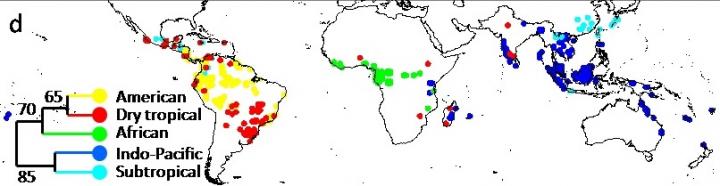 Forest Regions