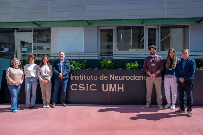 Un estudio del Instituto de Neurociencias UMH-CSIC identifica un mecanismo clave en la degeneración de las neuronas motoras en ELA