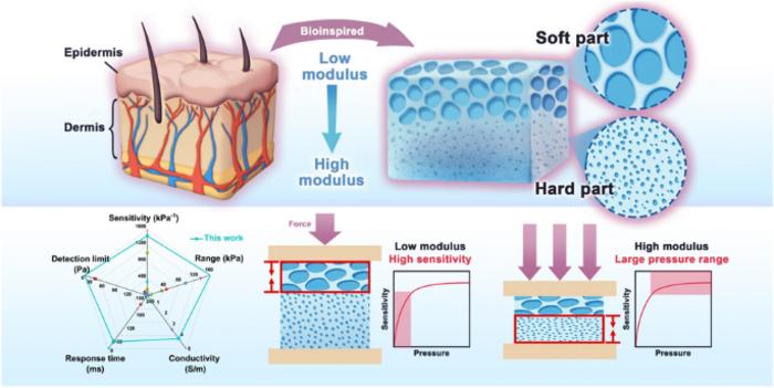 Boosting Sensitivity of Cellulose Pressure Sensor via Hierarchically Porous Structure