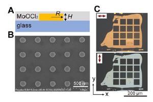 Hyperbolic Localized Plasmon Resonances (H-LPRs) Introduced in MoOCl2