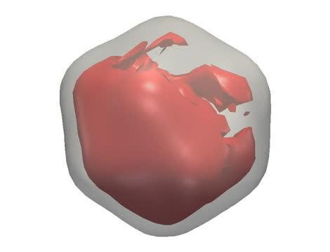 Reconstruction of a Rice Dwarf Virus