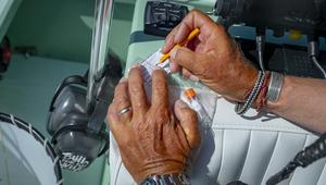 A new USF study sheds light on feeding patters of iconic tarpon sportfish 5