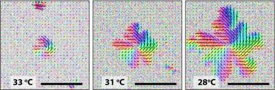 Spiral Pattern Growth