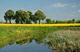 Predicting Pesticide Loads More Accurately