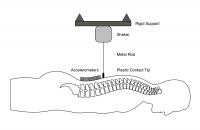 Spinal Vibration