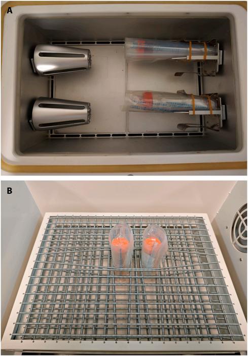 Fig. 1. Cultural environment of F. nucleatum in the experiment. (A) Clinostat used to produce anaerobic simulated microgravity (ASMG) condition. (B) Oscillator to produce anaerobic normal gravity (ANG) condition.