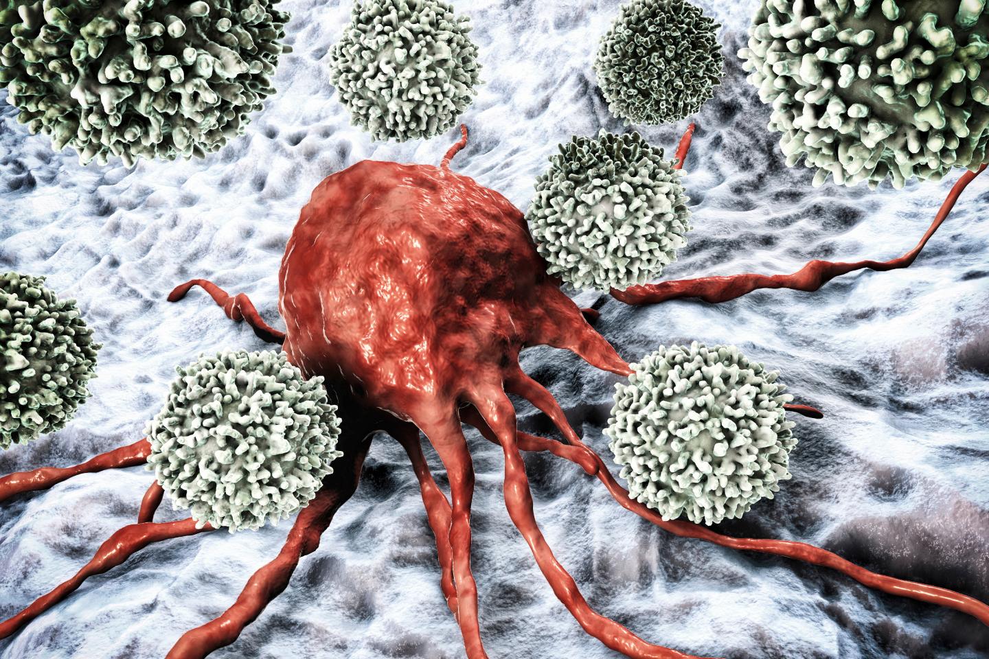 Selective Wnt Inhibitor Could Improve Cancer Immunotherapy (1 of 2)