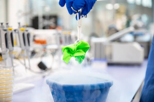 Textile is submerged in liquid nitrogen to stop it melting during the milling process.