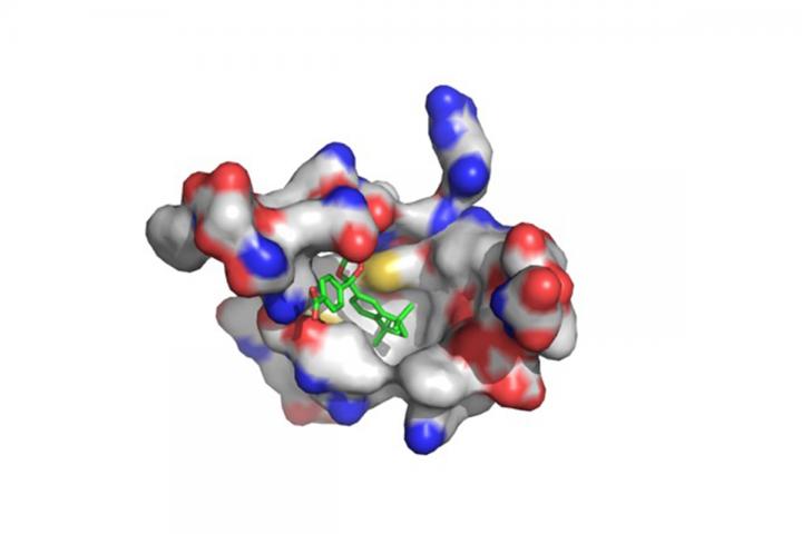 RXR Agonist for Sarcoma