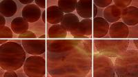 Toxic Pollutant to Pharma Feedstock with Emulsion Hydrogenation