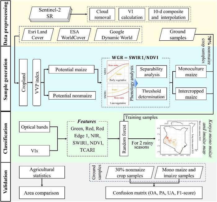 Flowchart of Phenology-assisted Sample generation for Monoculture and Intercropped Maize machine learning mapping (PSMIM).