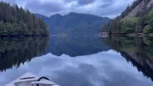 Boat-based nature viewing at Great Bear Lodge.