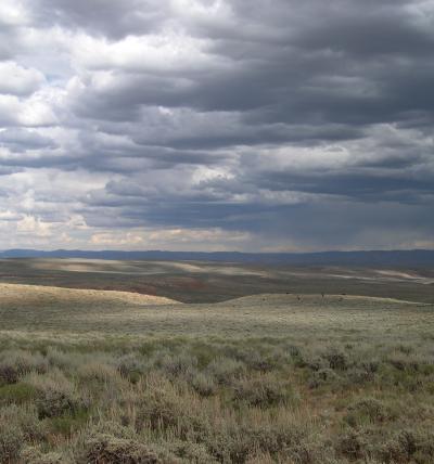 Landscape of Field Site