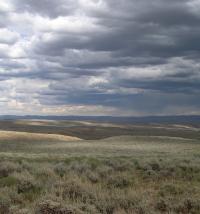 Landscape of Field Site